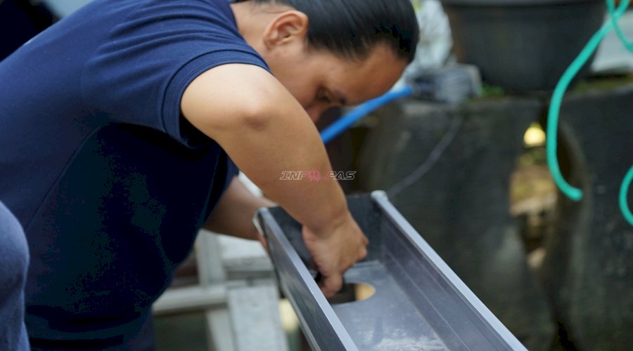 Warga Binaan Lapas Perempuan Malang Pelajari Budidaya Melon Hidroponik