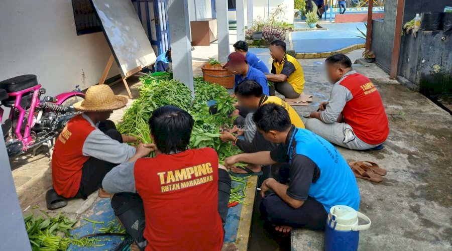 Rutan Marabahan Panen 50 Ikat Kangkung, Wujudkan Kemandirian Pangan dari Lahan Branggang