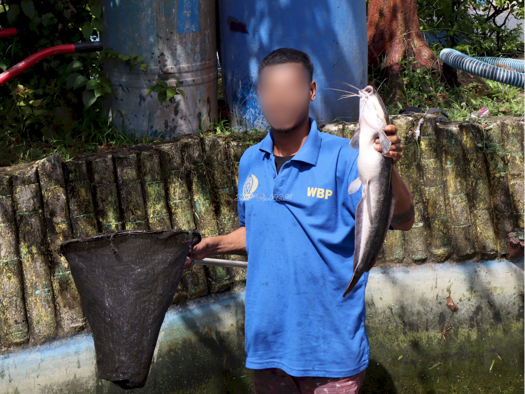 Panen 30 Kilogram Lele, Lapas Ambon Perkuat Program Kemandirian Pangan