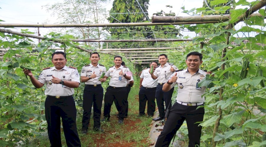 Panen 76 Kg Timun Segar, Kebun SAE Rutan Pelaihari Terus Tunjukkan Hasil Nyata