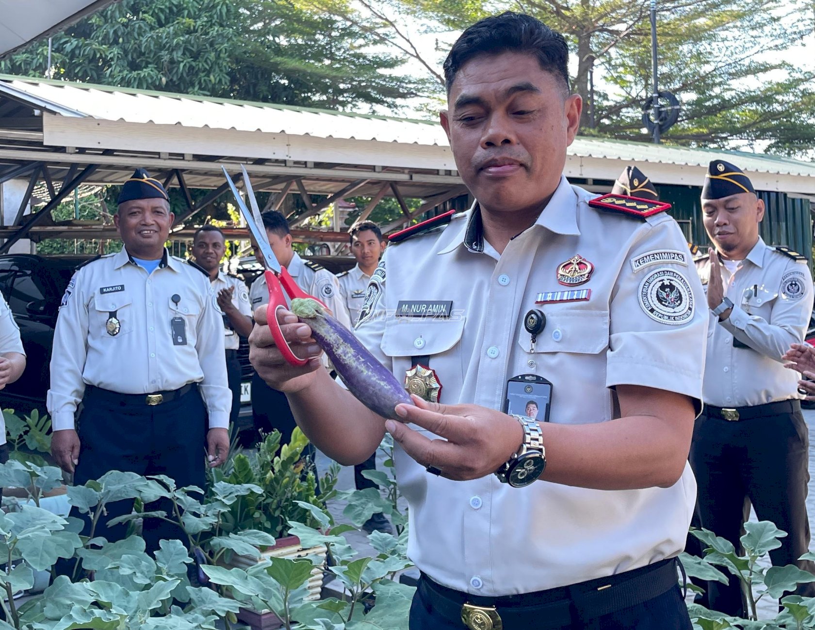 Manfaatkan Lahan Terbatas, Bapas Palu Sukses Panen Perdana Terung