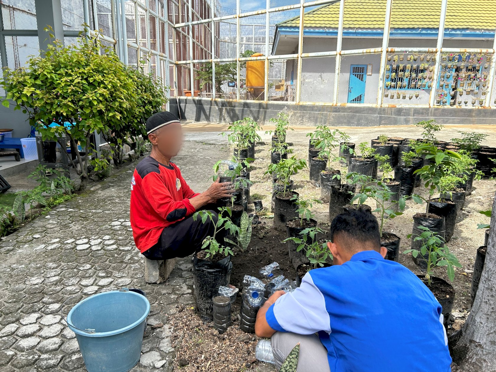 Warga Binaan Lapas Luwuk Sulap Botol Plastik Bekas Jadi Pot Gantung Sayuran