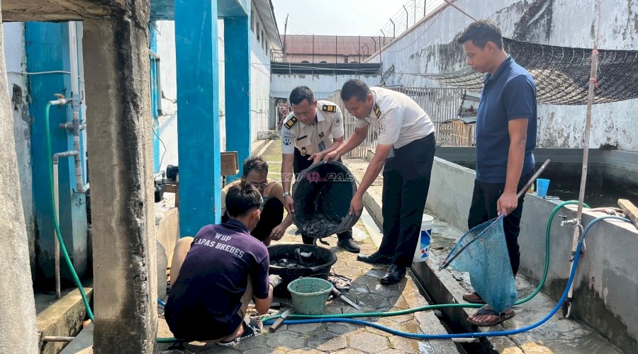 Lapas Brebes Panen 50 Kg Lele, Wujud Nyata Ketahanan Pangan dan Pembinaan Produktif