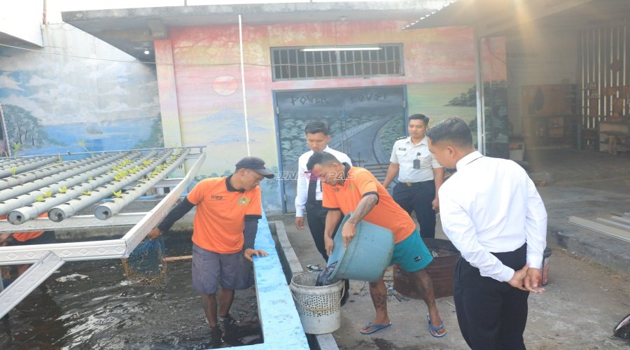 Budidaya Berbuah Hasil, Lapas Pemuda Madiun Panen 29 Kg Ikan Lele