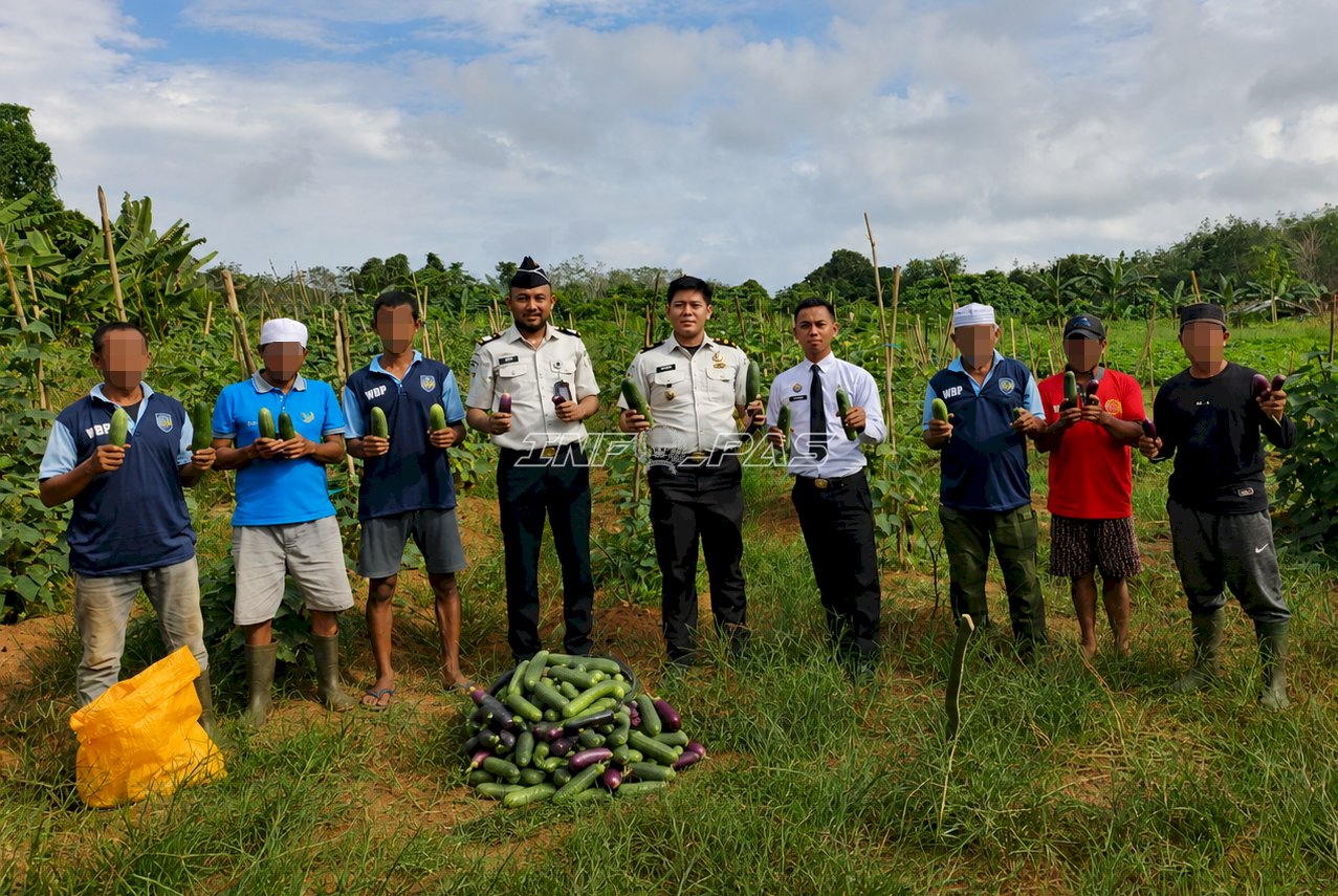 Kebun Produktif Berbuah Hasil, Lapas Batulicin Panen Aneka Sayur