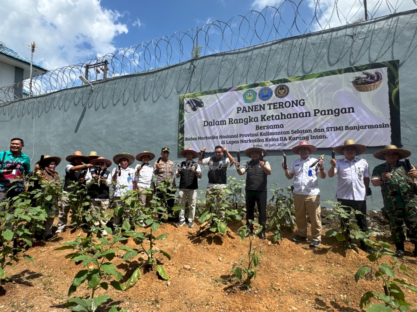 Panen Terung Bersama BNNP Kalsel dan STIMI, Lapas Narkotika Karang Intan Petik Hasil Pembinaan Kemandirian