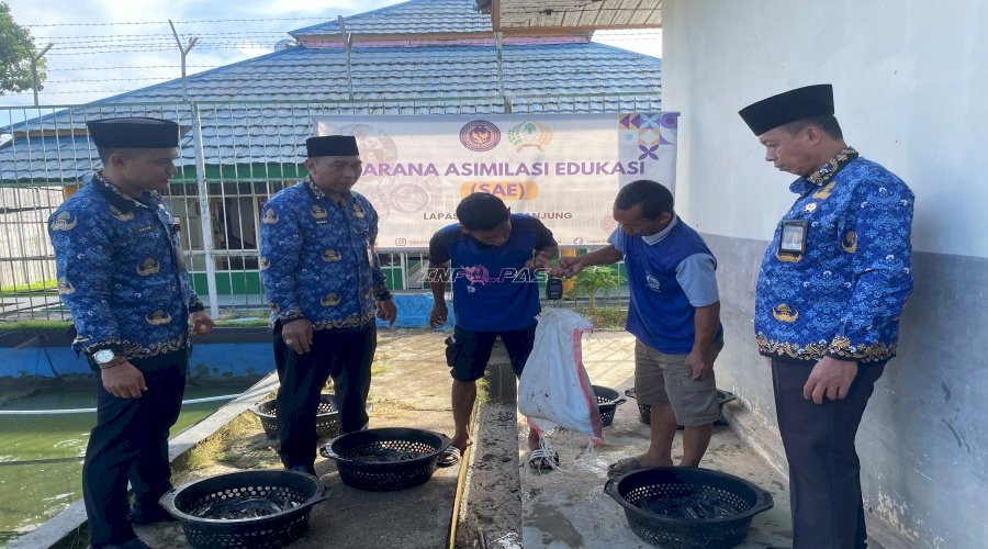 Bukti Pembinaan Optimal, Lapas Tanjung Panen Lele 30 Kilogram
