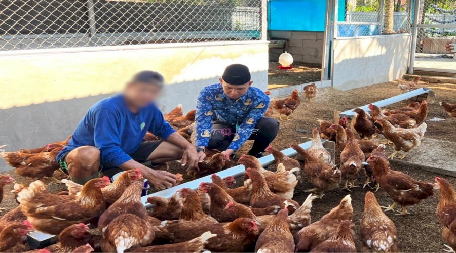 Panen 40 Butir Telur dan 14 Kg Kacang Panjang, Warga Binaan Lapas Banjarmasin Petik Hasil Pembinaan Kemandirian