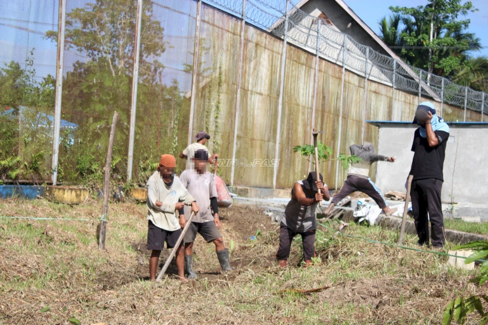 Kembangkan Budidaya Nila, Lapas Piru Hadirkan Inovasi Pembinaan Kemandirian Warga Binaan
