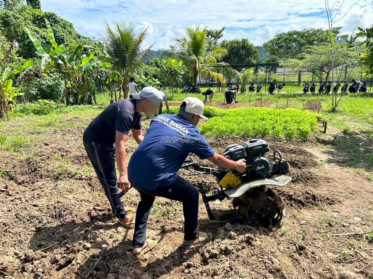 Lewat Edukasi Perkebunan, LPKA Manokwari Tumbuhkan Kemandirian Anak Binaan
