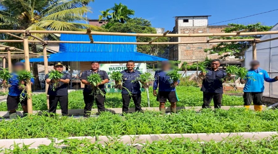 Lapas Banjarmasin Kembali Panen 38 Kg Kangkung untuk Dapur Lapas dan Pasar Luar