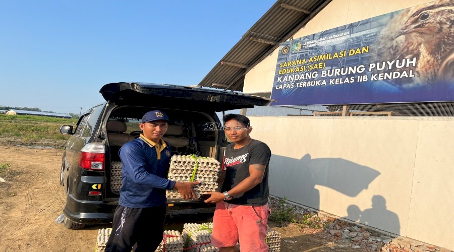 Bukti Produktivitas Pembinaan, Lapas Terbuka Kendal Jual 100 Kg Telur Puyuh