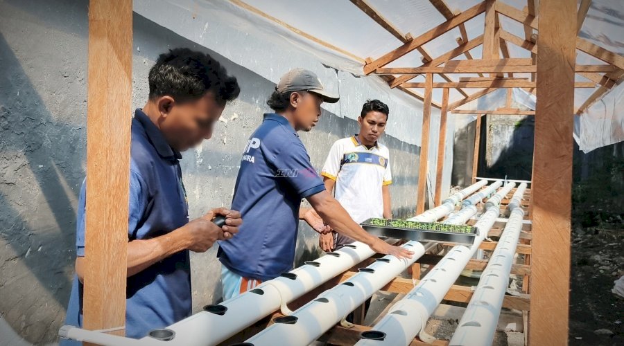 Warga Binaan Lapas Bandanaira Budidayakan Tanaman Hidroponik