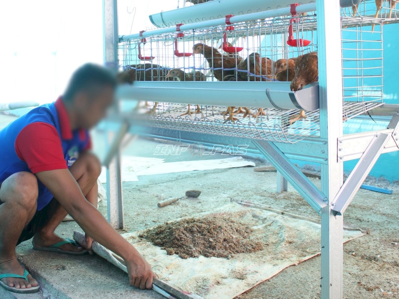 Warga Binaan Lapas Banjarmasin Ubah Limbah Peternakan Jadi Pupuk Organik
