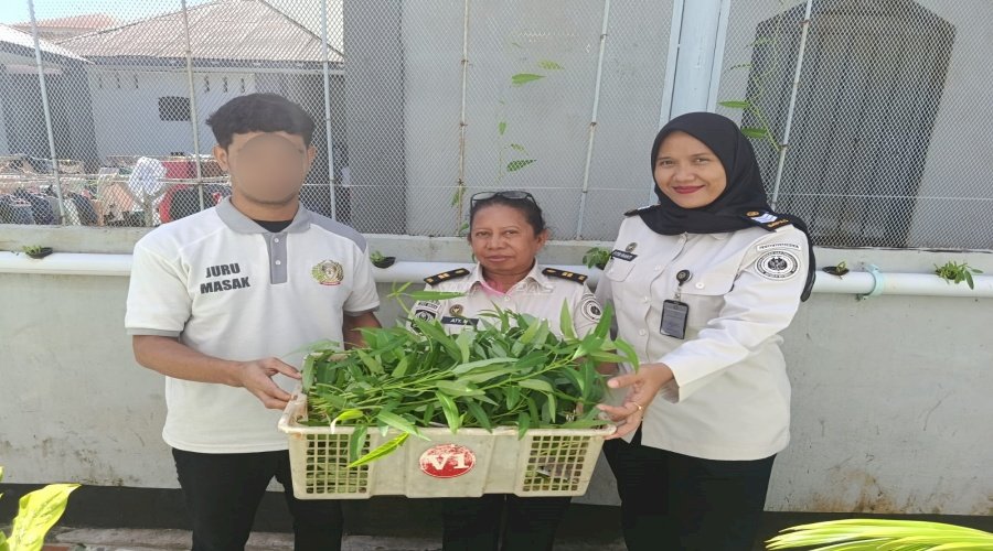 Langkah Konkret Ketahanan Pangan, Lapas Wahai Panen Kangkung Hidroponik