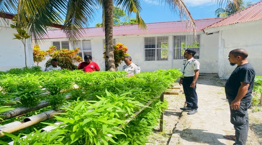 Lapas Geser Jadi Pilot Project Edukasi Agrobisnis, Warga Dusun Lomin Studi Tiru Budidaya Hidroponik