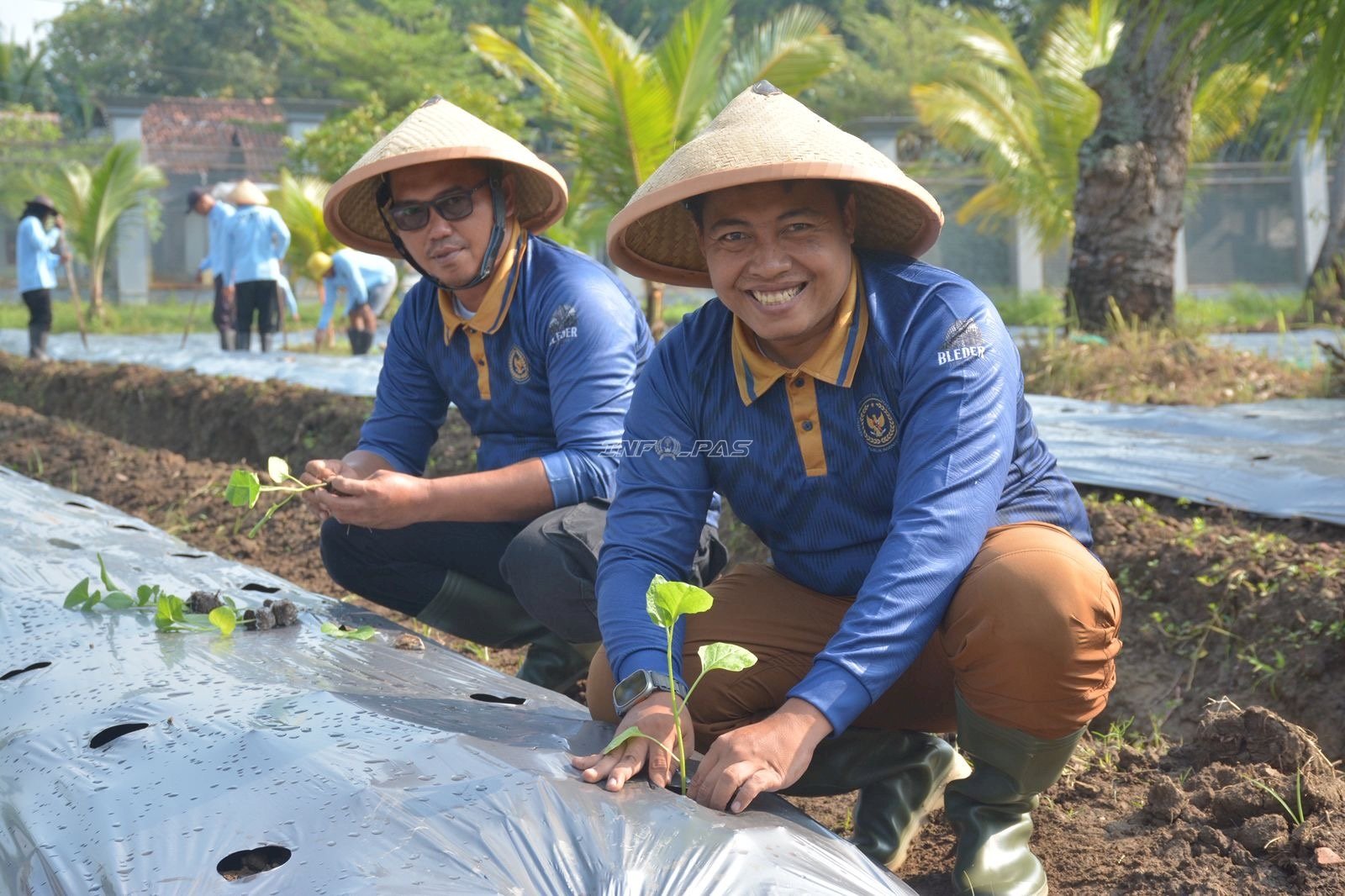 Lapas Terbuka Kendal Tanam 3.600 Bibit Terung di Lahan 2.700 Meter Persegi