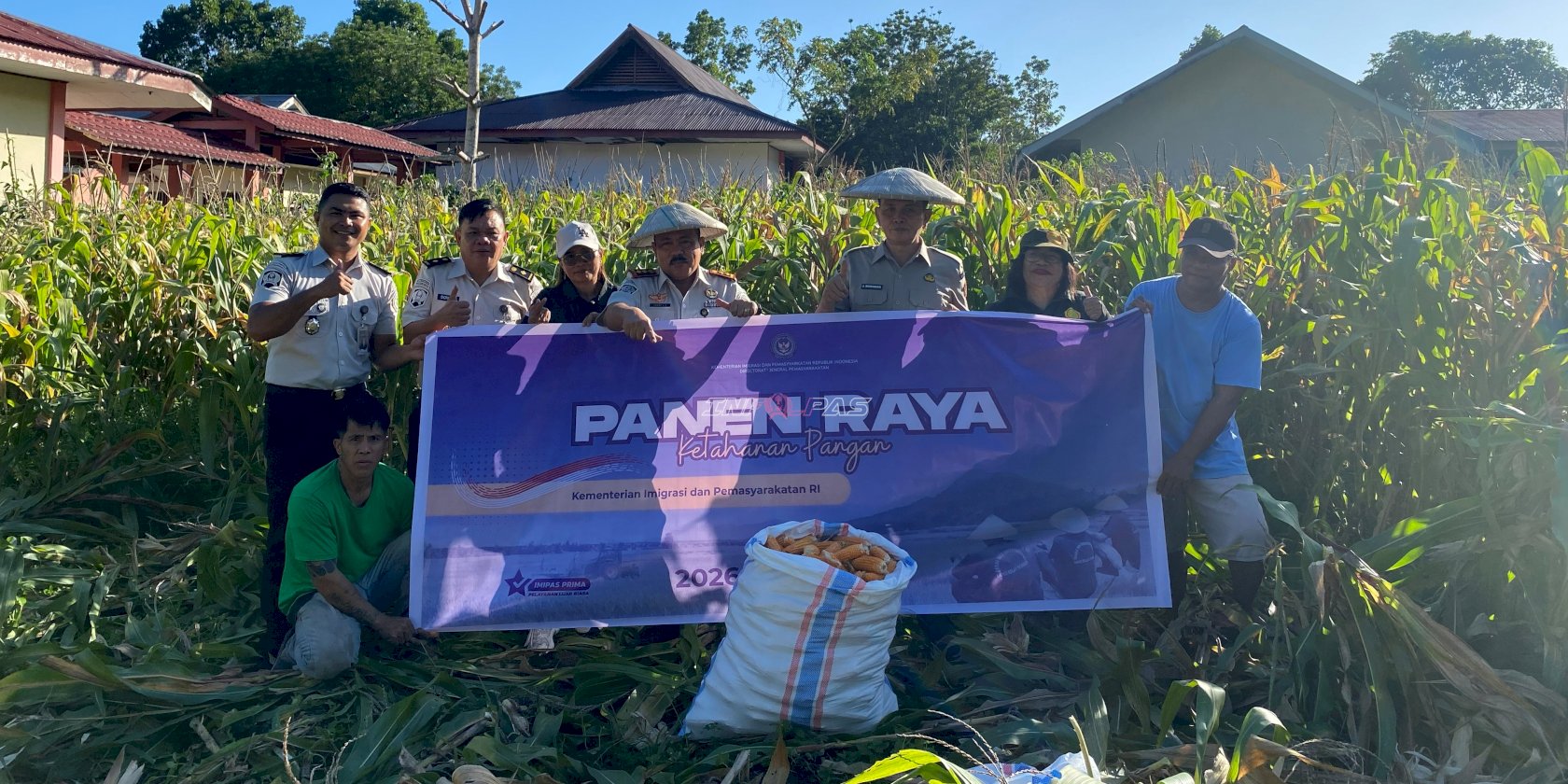 Lapas Tahuna Panen Raya Jagung, Capai 5.000 Tongkol