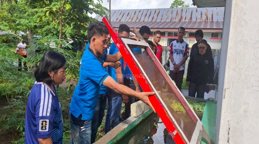Klien Bapas Ambon Budidayakan Ikan dan Sayur, serta Bersihkan Masjid Nurul Islah