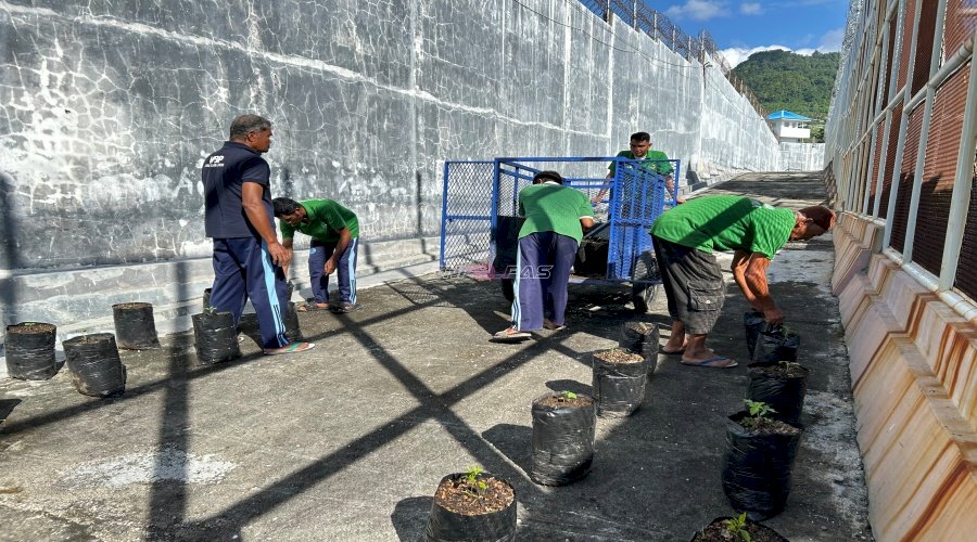 Manfaatkan Lahan Kosong, Warga Binaan Lapas Luwuk Sulap Area Lapas Jadi Kebun Cabai dan Tomat