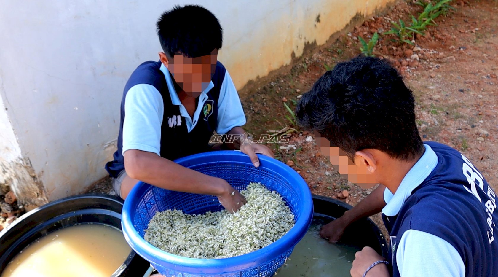 Pembinaan Produktif, Warga Binaan Lapas Batulicin Hasilkan 16 Kilogram Tauge