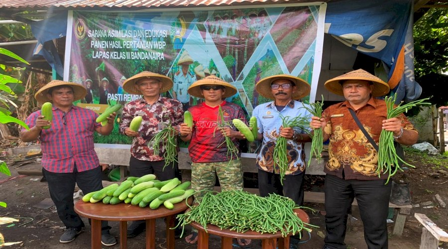 Lapas Bandanaira Panen Mentimun dan Kacang Panjang, Perkuat Sinergi Wujudkan Ketahanan Pangan