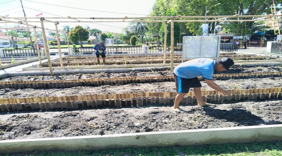 Penanaman 750 Benih Menimun, Lapas Banjarmasin Perkuat Kegiatan Pertanian