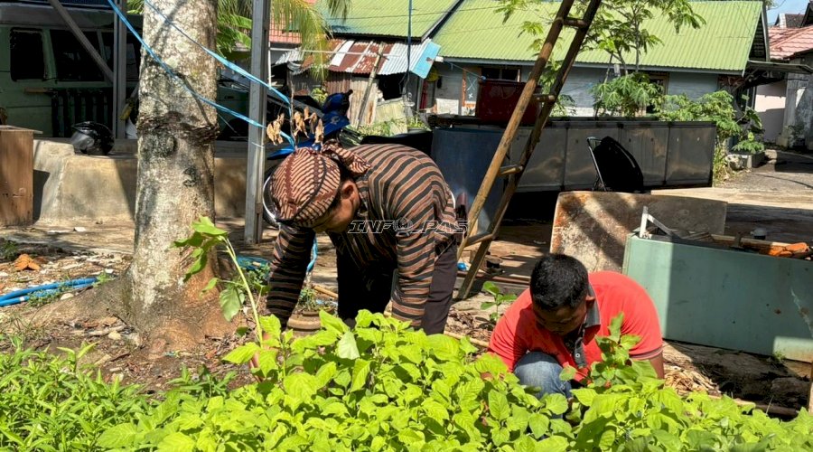 Dukung Program Ketahanan Pangan, Rutan Rantau Panen Bayam dan Kangkung Hasil Budidaya Warga Binaan