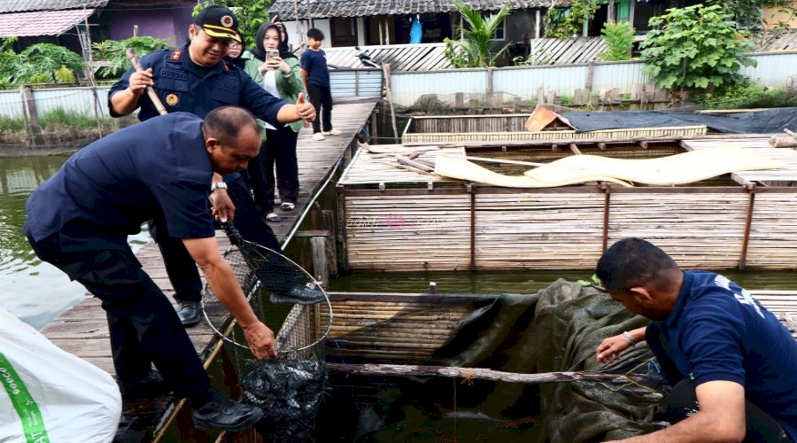 Panen Lele 25 Kilogram, Lapas Amuntai Perkuat Program Ketahanan Pangan