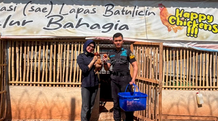 Produktivitas Meningkat, Ayam Layer Lapas Batulicin Hasilkan 211 Butir Telur