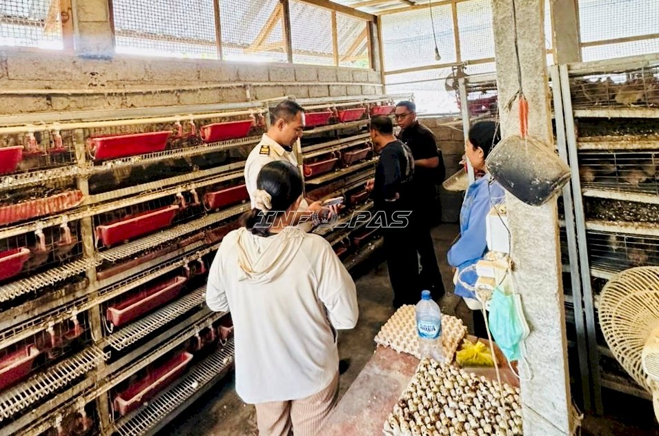 Bapas Denpasar Gandeng Desa Sibangkaja Kembangkan Peternakan Puyuh di Griya Abhipraya