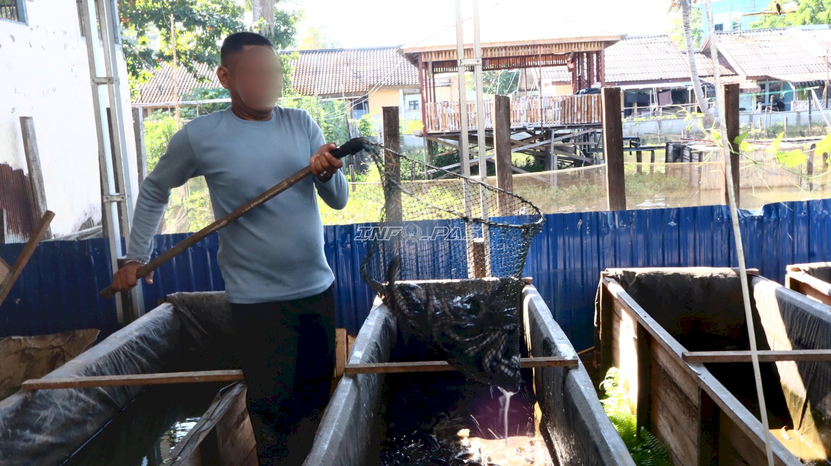 Panen 50 Kg Kangkung dan Lele, Lapas Amuntai Dukung Ketahanan Pangan