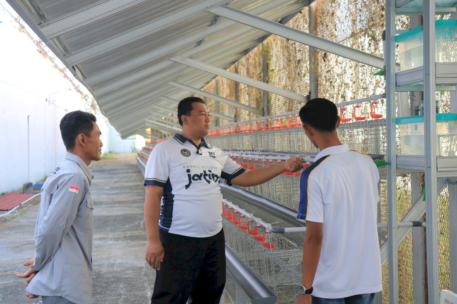 Lapas Pemuda Madiun Siapkan 1.000 Kandang Ayam Petelur Dukung Ketahanan Pangan