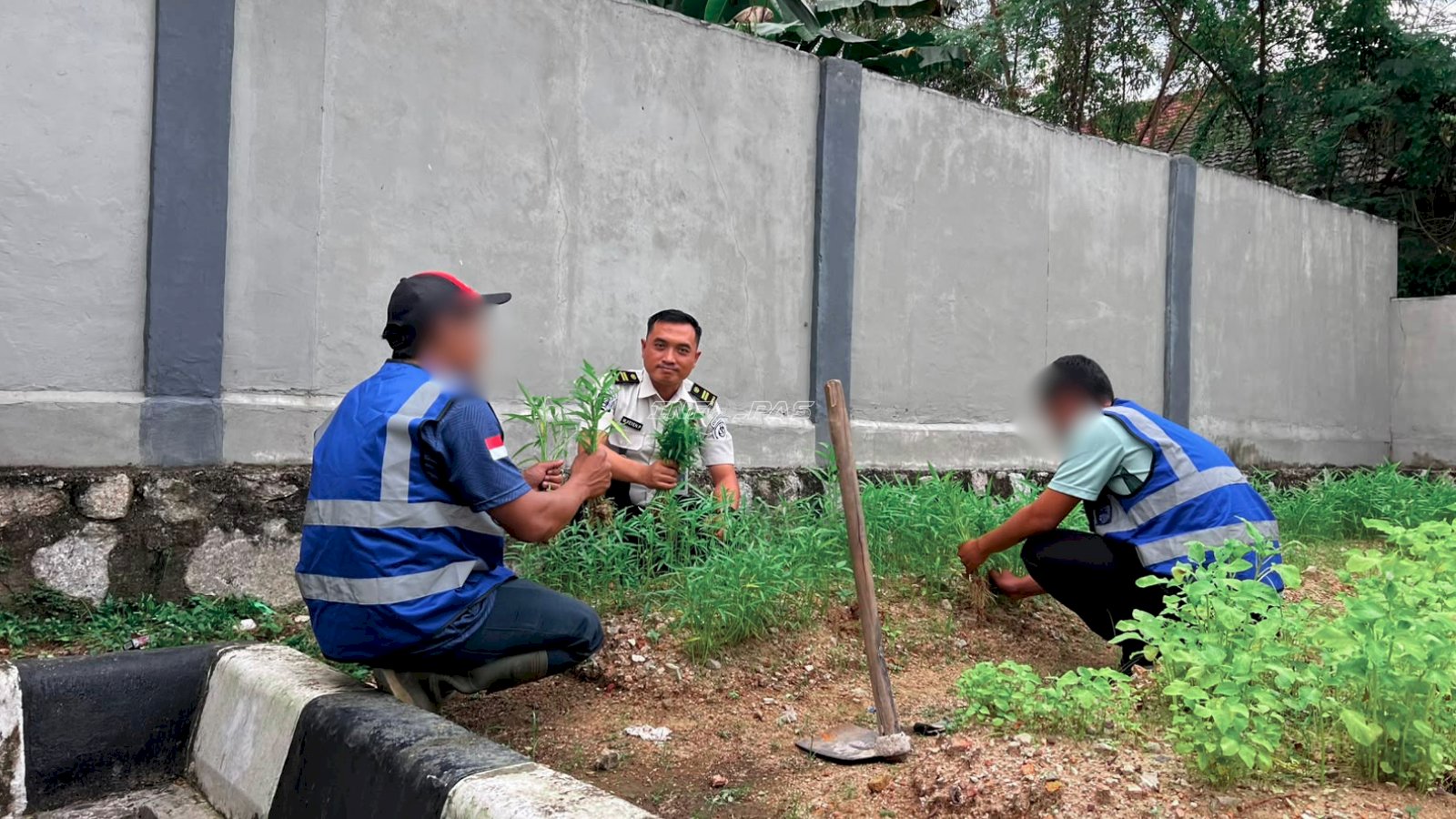 Bapas Tanjungpandan Libatkan Klien Garap Lahan Tidur Dukung Ketahanan Pangan
