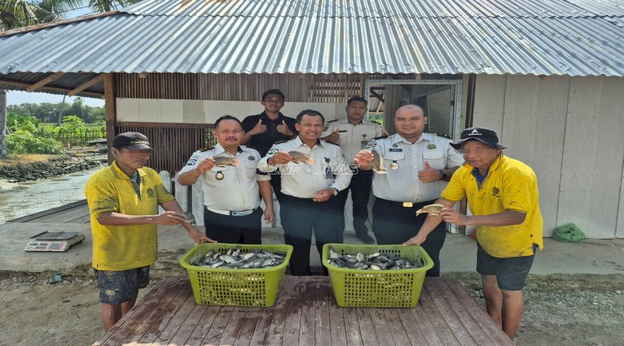 Dukung Ketahanan Pangan, Lapas Parigi Panen 53 Kilogram Ikan di Area SAE