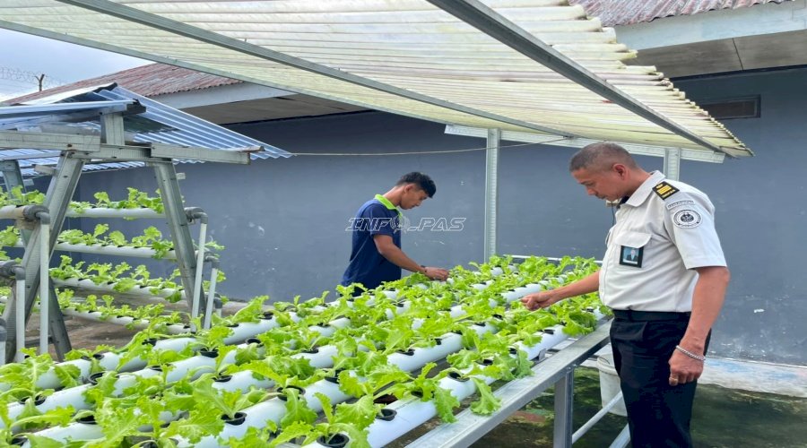 Rutan Ambon Produktif dan Kreatif melalui Hortikultura Hidroponik dan Daur Ulang Limbah Kelapa
