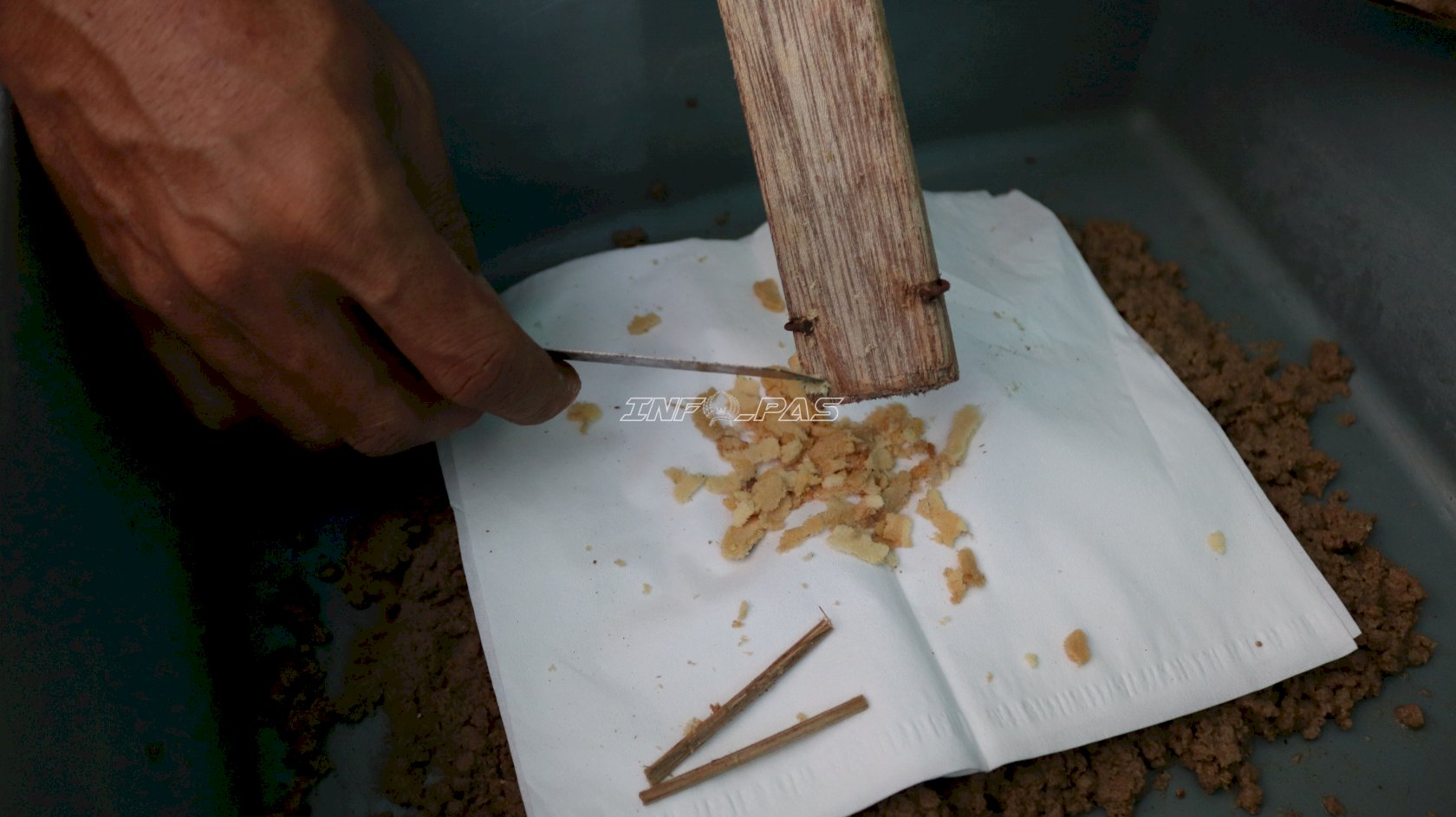 Panen 25 Gram Telur Maggot, Lapas Batulicin Jaga Produktivitas Budidaya
