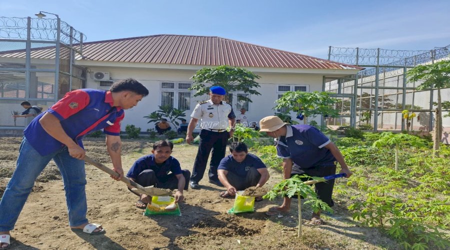 Dukung Ketahanan Pangan, Rutan Donggala Lakukan Pembibitan Papaya California