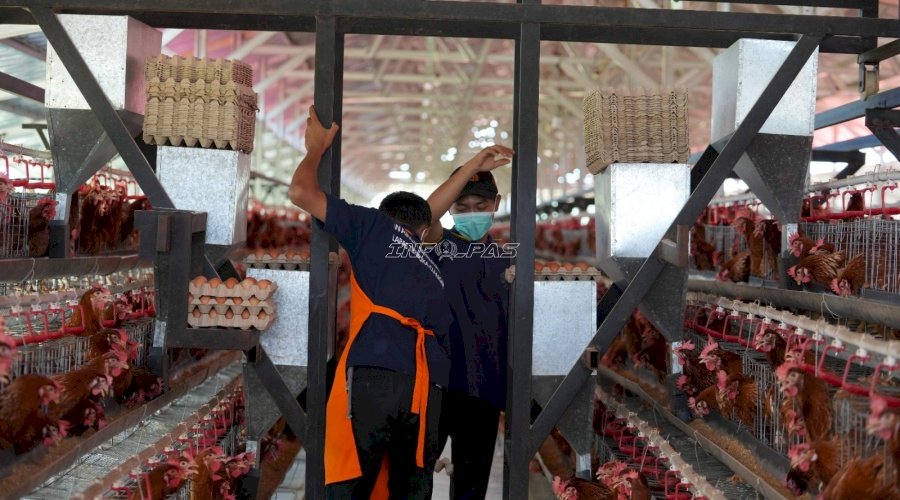 Lapas Terbuka Ciangir Bekali Warga Binaan dengan Pelatihan Peternakan dan Perkebunan