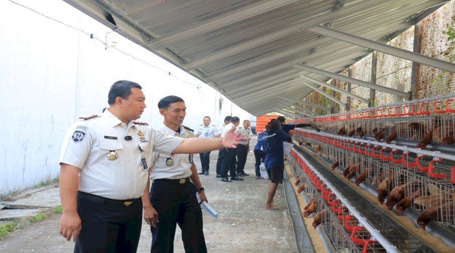 Tempati Kandang Baru, 1.000 Ayam Petelur Lapas Pemuda Madiun Siap Dukung Ketahanan Pangan