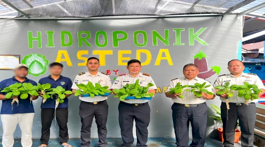 Kalapas Banjarmasin Pimpin Panen 320 Pot Pakcoy Hidroponik, Perkuat Program Ketahanan Pangan