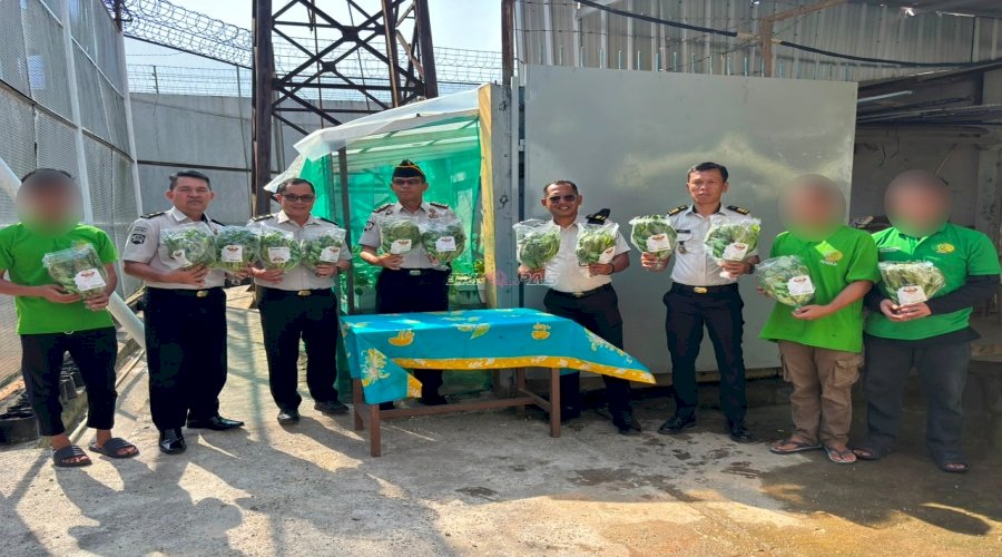 Lapas Narkotika Pangkalpinang Panen 64 Kilogram Pakcoy Hidroponik, Perkuat Pembinaan Kemandirian Warga Binaan