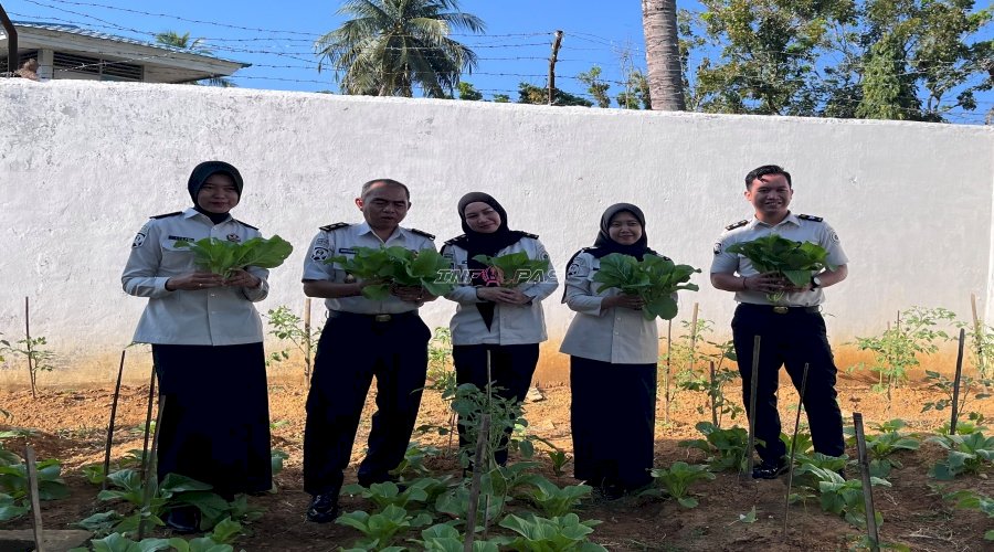 Rutan Barabai Panen Sawi, Wujud Nyata Dukung Program Ketahanan Pangan