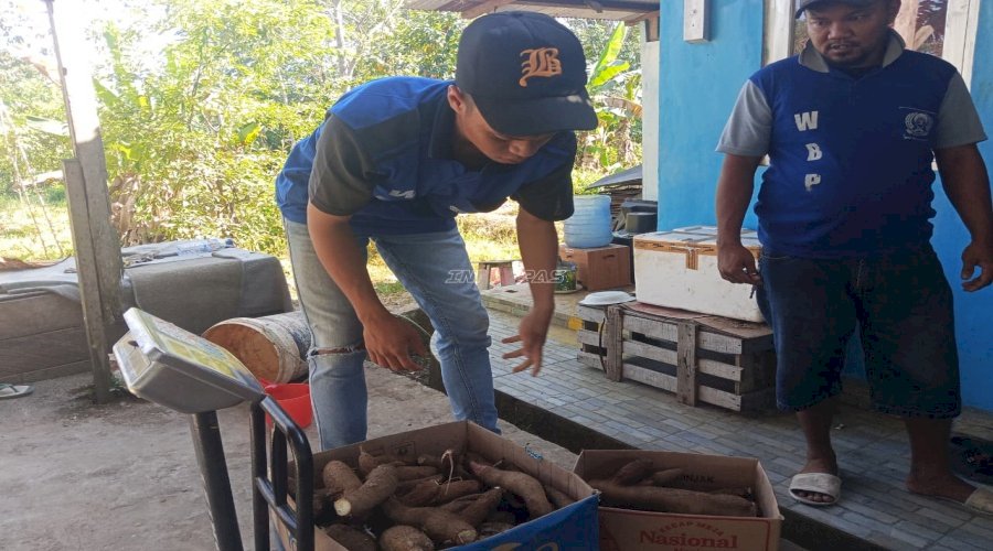 Panen 11 Kg Singkong, Bukti Sukses Pembinaan Kemandirian Warga Binaan Lapas Tanjung