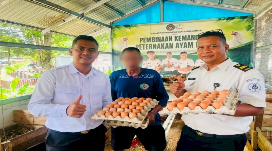 Lapas Banjarmasin Hasilkan 106 Butir Telur dari Dua Sistem Budidaya Ayam Petelur di SAE 1 dan 2