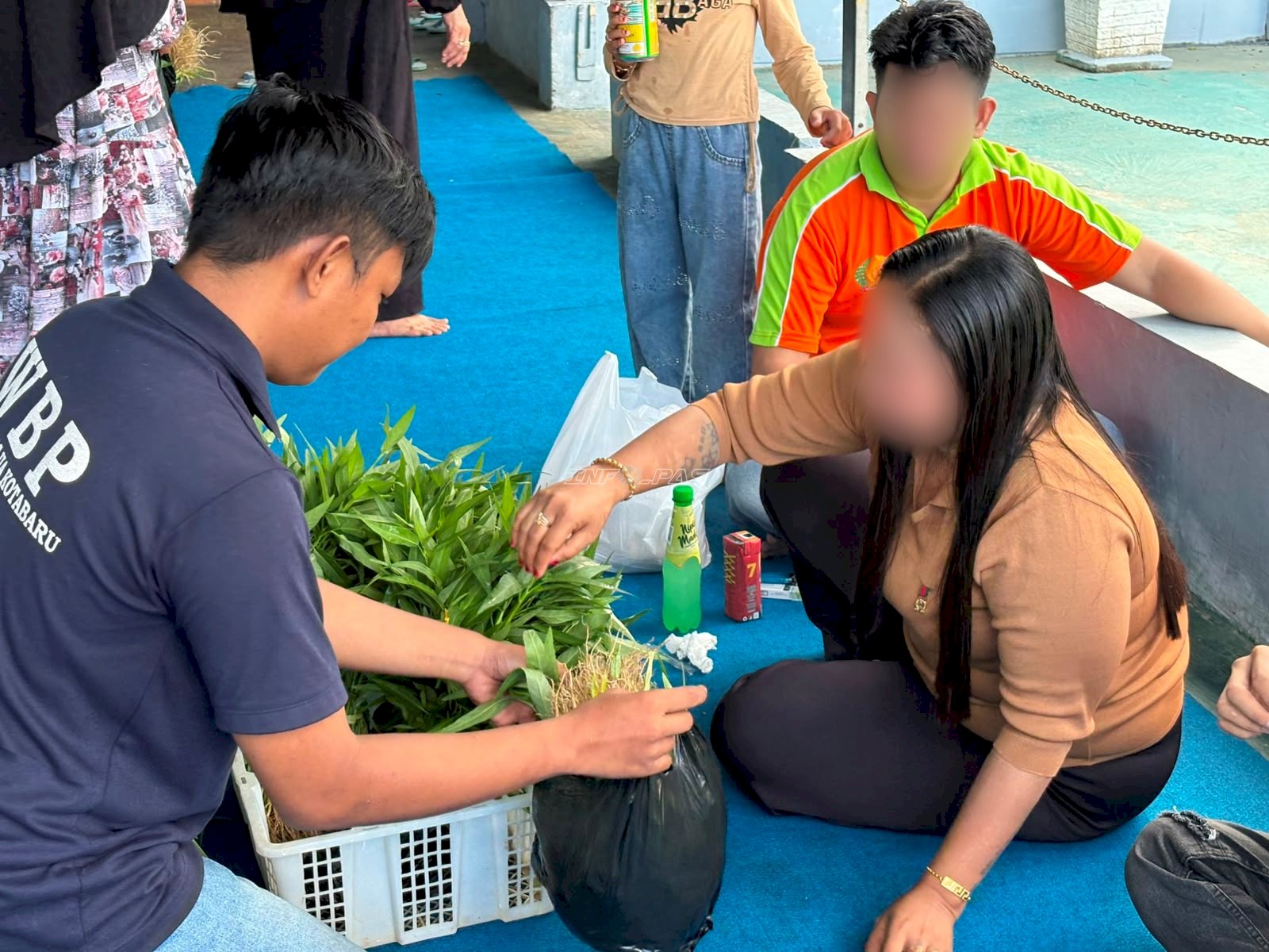 Kangkung Budidaya Warga Binaan Lapas Kotabaru Diminati Pengunjung