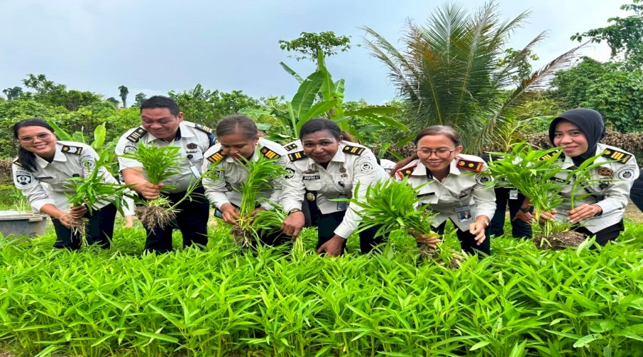 LPKA Manokwari Kembali Panen Kangkung Kloter Kedua, Perkuat Pembinaan Kemandirian Anak Binaan