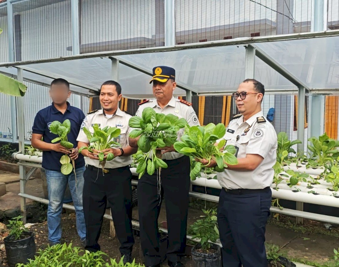 Hijaukan Lapas, Sejahterakan Dapur, Pakcoy Hidroponik Lapas Sarolangun Siap Santap  