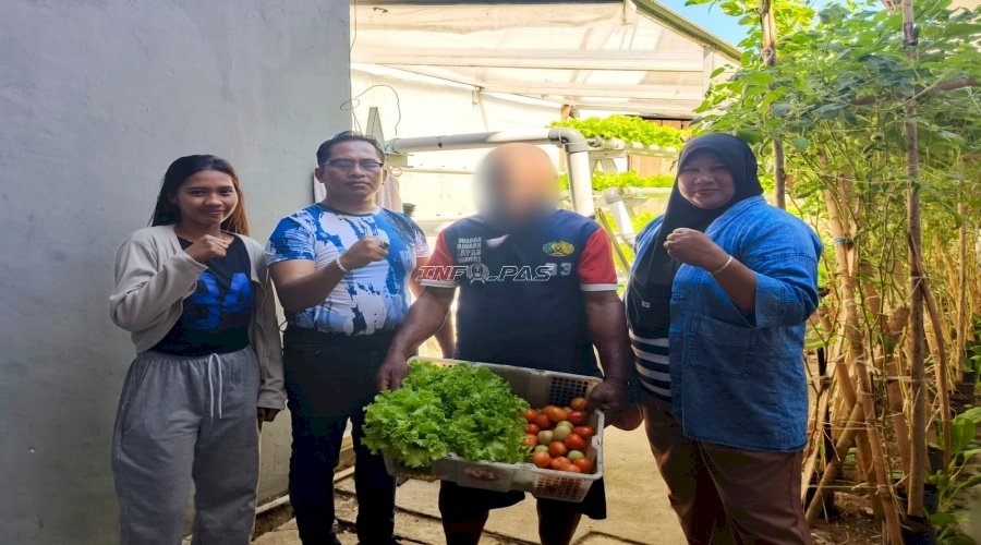 Warga Binaan Lapas Wahai Panen Pujian, Sayur Segar Dibeli Masyarakat