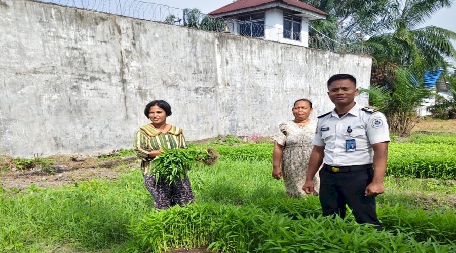 Warga Mulai Datangi Sarana Asimilasi Lapas Labuhan Bilik untuk Beli Kangkung Segar
